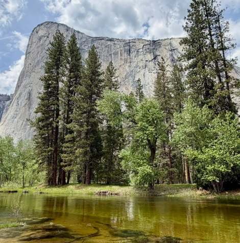 yosemite elcapitan rick - Summer in the Sierra